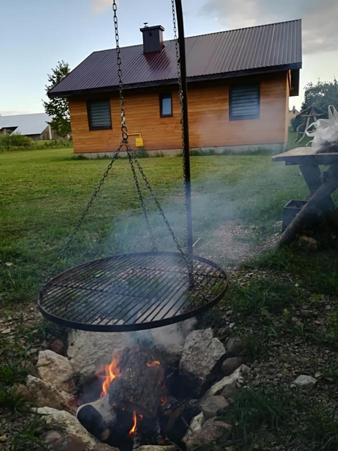 Jedrzejowka Stawiska Nad Tanwiaヴィラ エクステリア 写真