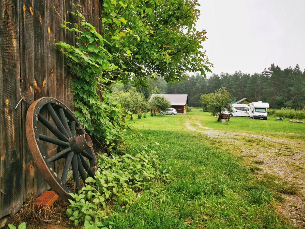 Jedrzejowka Stawiska Nad Tanwiaヴィラ エクステリア 写真